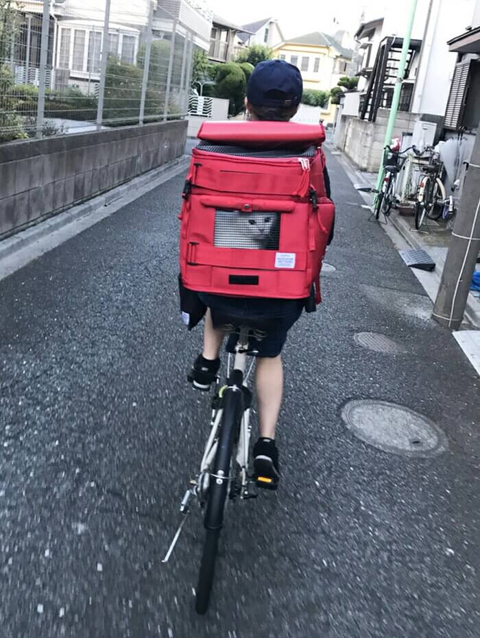 自転車移動にも最適なスカウトキャリーリュックバッグ